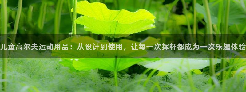 海南emc易倍体育官网下载:儿童高尔夫运动用品:从设计到使用